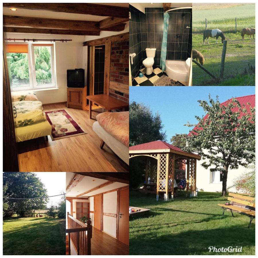 Pokoje Goscinne Pod Jabloniami Ujście-Darłowskie Exterior foto