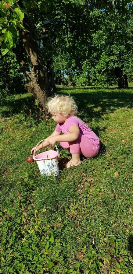 Pokoje Goscinne Pod Jabloniami Ujście-Darłowskie Exterior foto